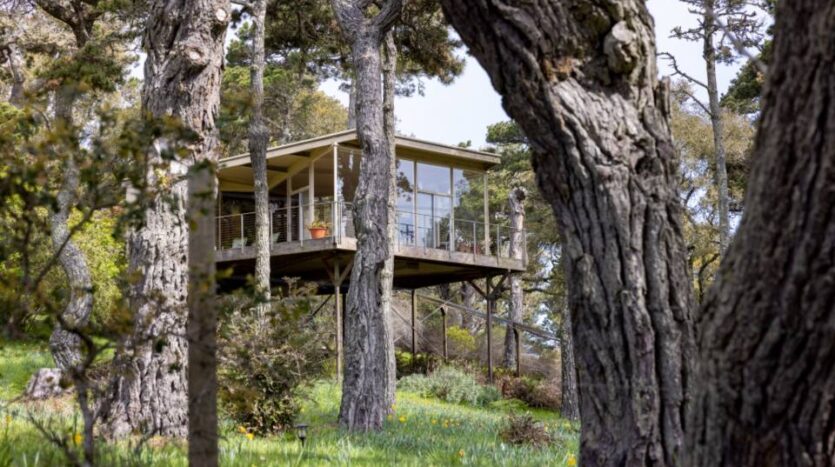Casa suspensa entre arvores